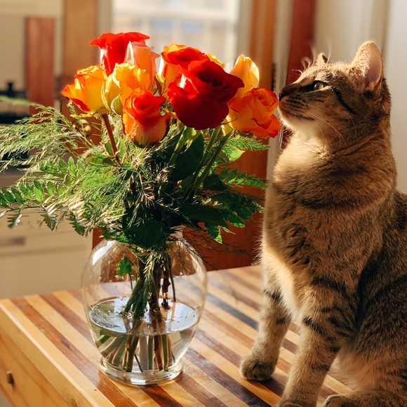 Posh N Sip Montreal โจ - Picture 6 of 15